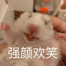 强颜欢笑小仓鼠表情包斗图仓鼠表情