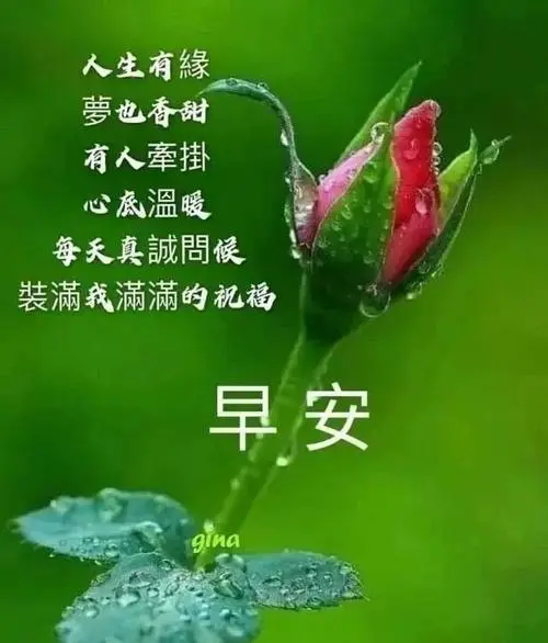 新的一天早安,美丽的一天从我的问候开始!