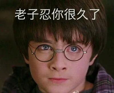 哈利波特表情包