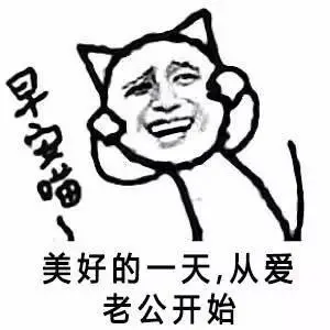 热门表情包:早安喵!美好的一天,从爱老公开始