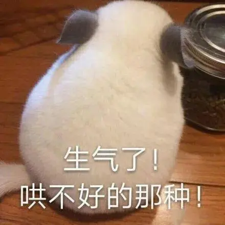 撒娇专用:哼,我生气了～_表情