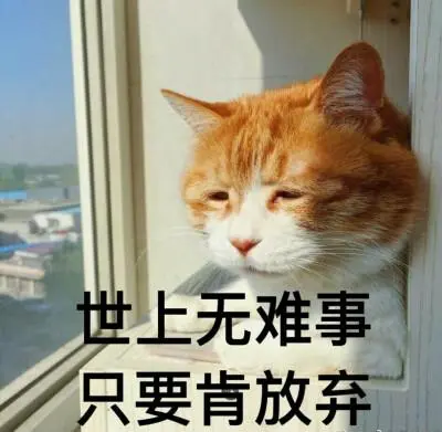 小无奈表情包
