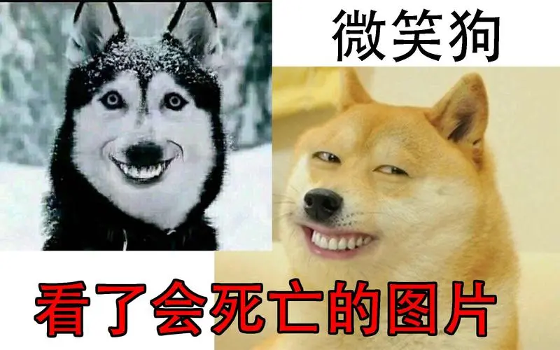 挑战一个看了会死的恐怖照片,微笑狗恐怖都市传说是不是真实的?