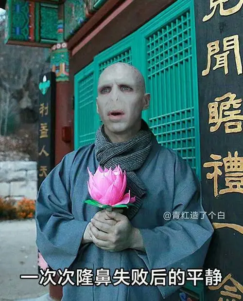 哈利波特表情包