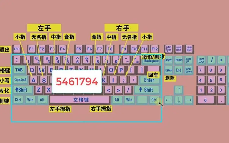零基础学电脑打字,快速学会键盘打字,适合初学者学习
