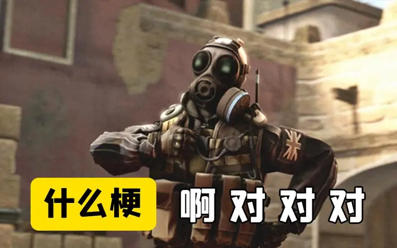 【什么梗】啊对对对_csgo
