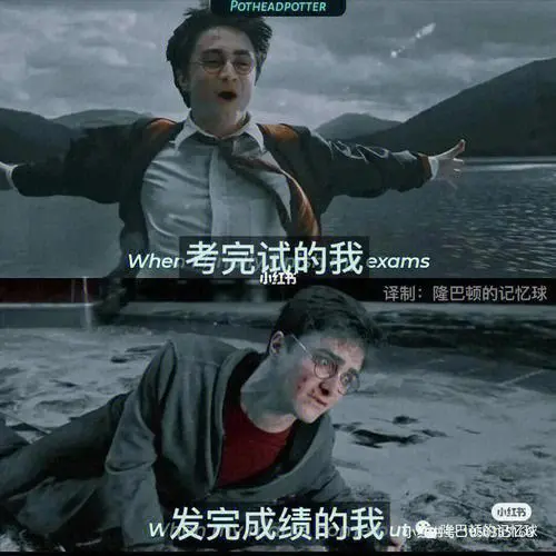 哈利波特表情包