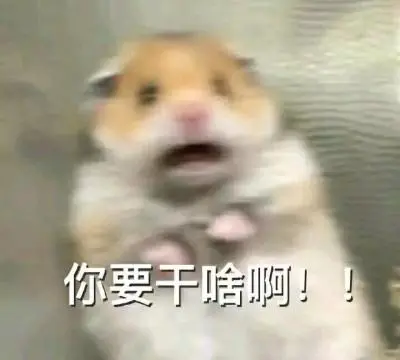 仓鼠表情包