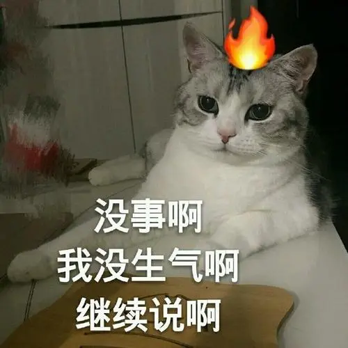 萌宠猫星人没事啊我没生气啊呆萌可爱gif动图_动态图_表情包下载_soo