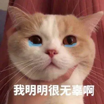 萌宠喵星人我明明很无奈难受搞怪逗gif动图_动态图_表情包下载_soogif