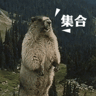 咆哮的土拔鼠gif系列动图