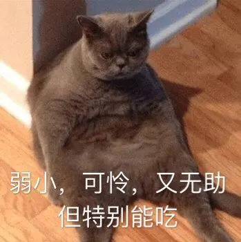 大家水逆期都是怎么过的