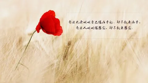 人生很无奈的伤感说说图片