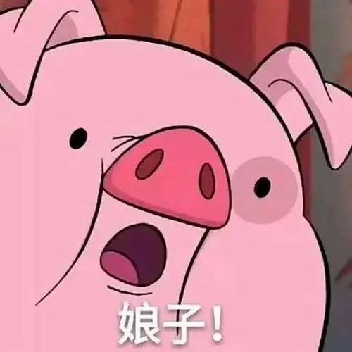 画风突转!表情包也可以做情侣头像