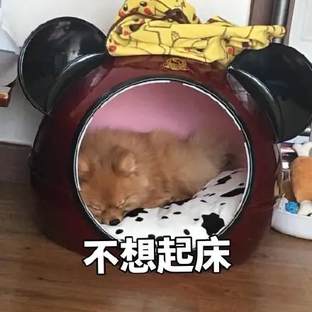 不想起床起床了吗还不起gif动图_动态图_表情包下载_soogif