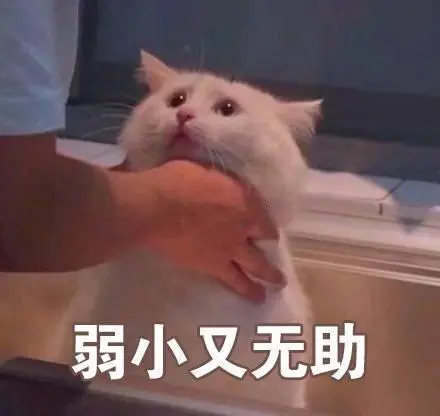 弱小又无助