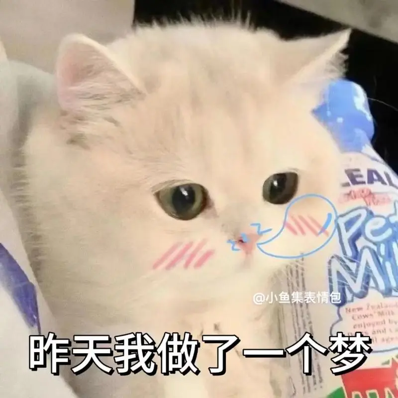 昨天我做了个梦!#猫咪表情包#发给对象表情包#表情包#-抖音