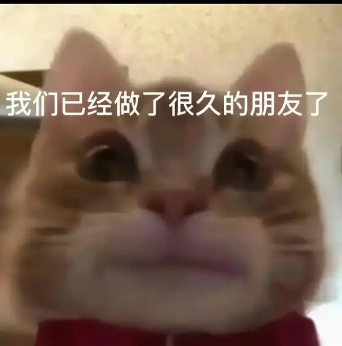 不甘心只和你做朋友想做你爹.##歪嘴小猫表情包#内容过于-抖音