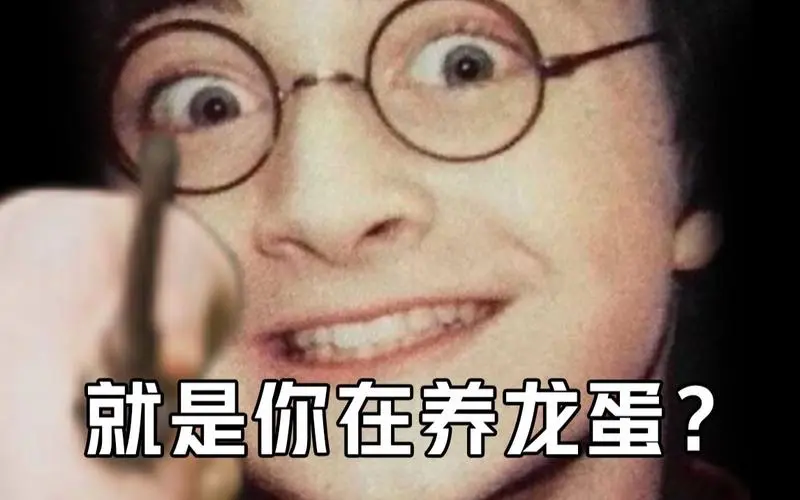 哈利波特手游:搞笑表情包之獾院版!如何靠一张图惹怒三个学院?