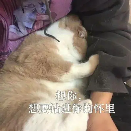 想你想要钻进你的怀里_钻进_怀里_想要表情