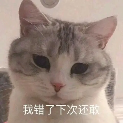 萌宠喵星人我错了下次还敢呆萌可爱gif动图_动态图_表情包下载_soogif