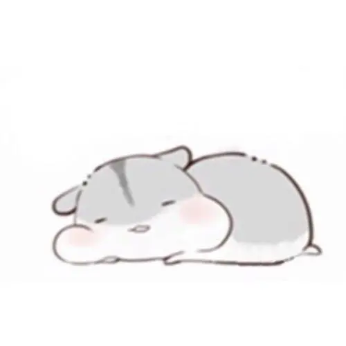hamham小仓鼠躺着的宝宝