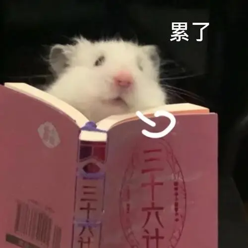 求一个小仓鼠表情包?-知乎
