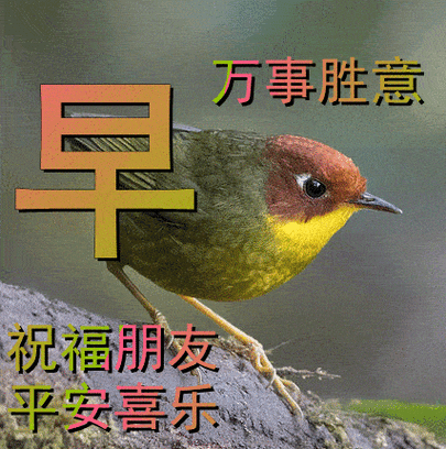 早上好动态表情图片大全,早晨好动图美图大全_人生_内心_朋友