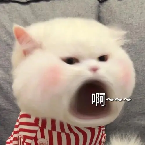 万能回复表情包