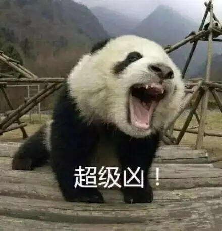 超级凶-一波大熊猫表情包