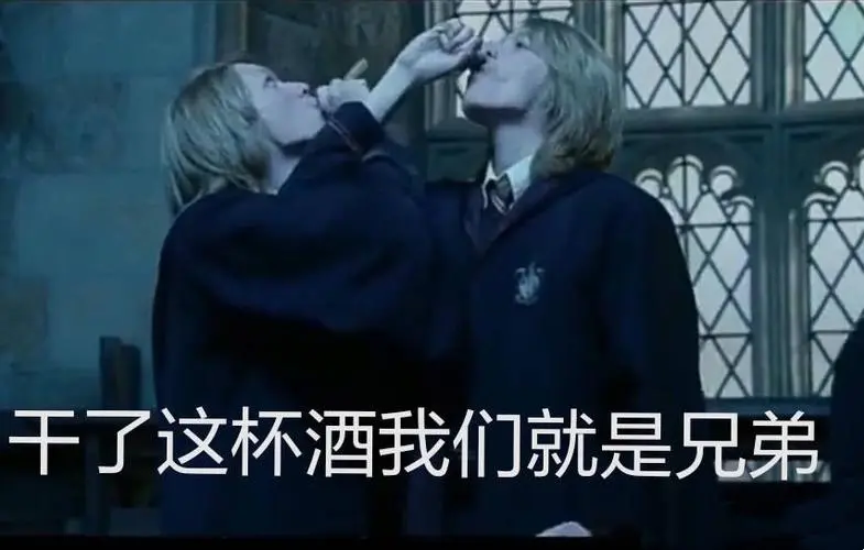 干了这杯酒我们就是兄弟哈利波特表情包影视表情表情