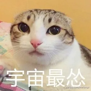 搞笑表情包