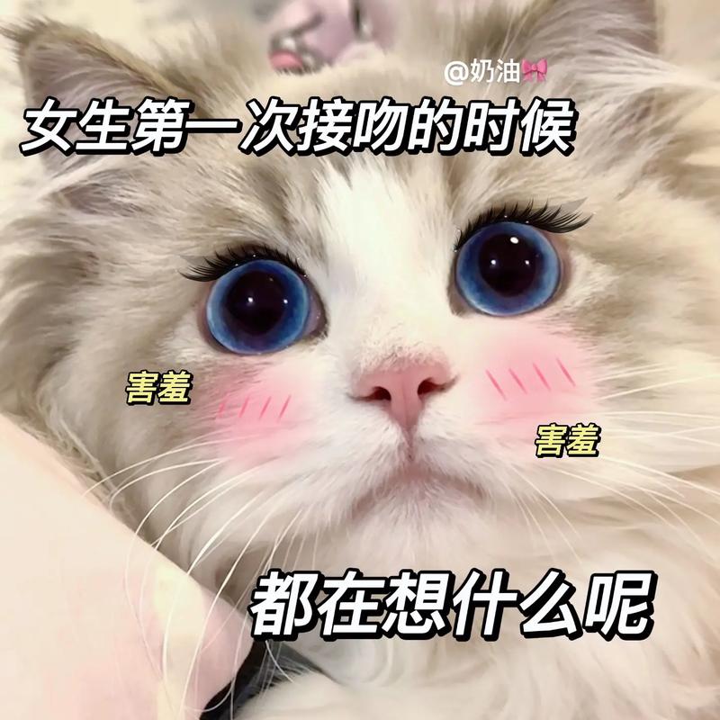 女生第一次亲亲在想什么呢?#猫咪表情包#发给对象表情包#-抖音