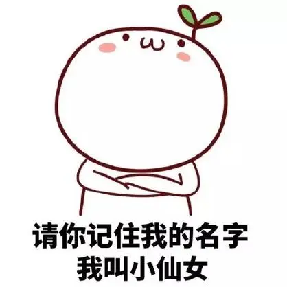 我叫小仙女-请记住我,我叫小仙女(颜文字)_小仙女_颜文字_文字表情