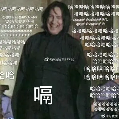 哈利波特斯内普表情包
