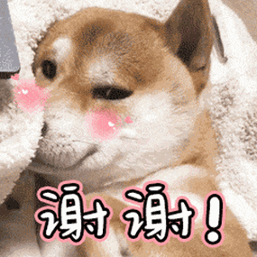 网易首页>网易号>正文申请入驻>万分感谢民警与消防队员脱险后两人