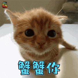 猫蟹蟹你谢谢soogifsoogif出品gif动图_动态图_表情包下载_soogif