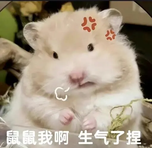 分不清这是仓鼠还是龙猫反正它的发疯表情包好可爱哈哈哈能又疯又可爱