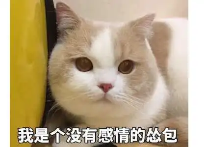 怂货是什么意思:怂成怂包是什么意思