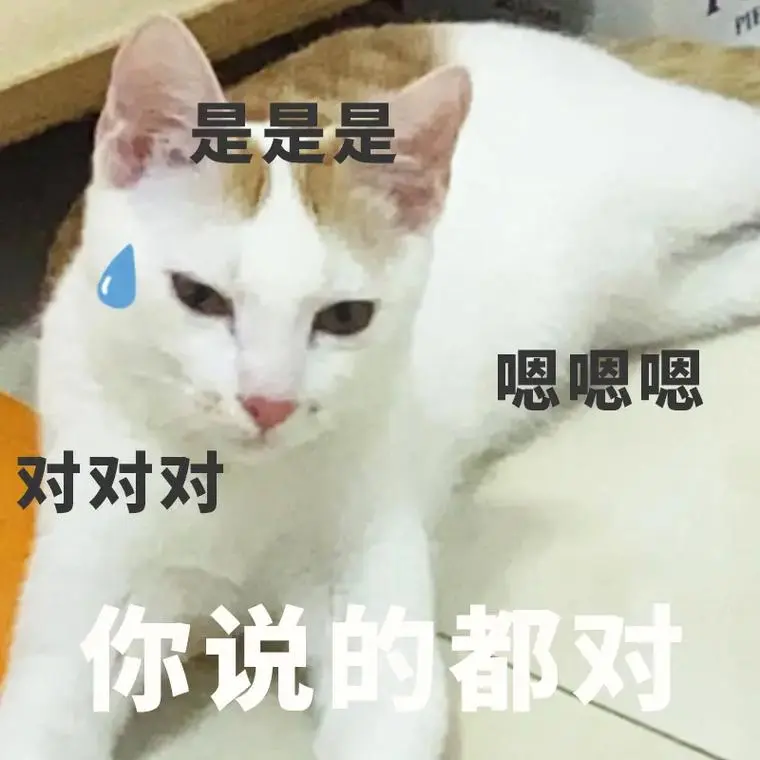 打工喵的日常#表情包#萌宠#猫咪表情-抖音