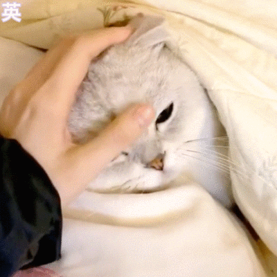 100f浮力