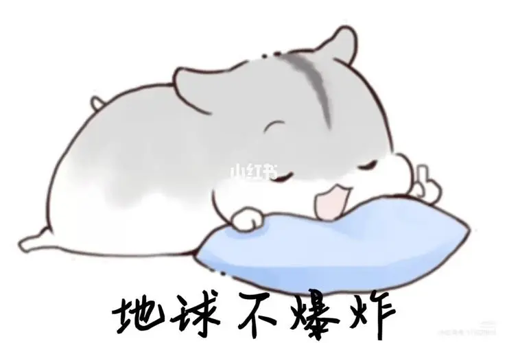 仓鼠表情包22