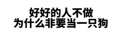 好好的人不做为什么非要当一只狗骂人黑色文字
