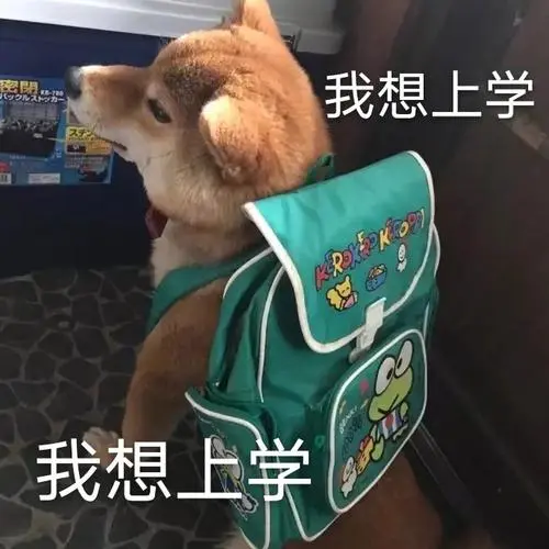 我想上学汪星人表情包汪星人我想上学表情