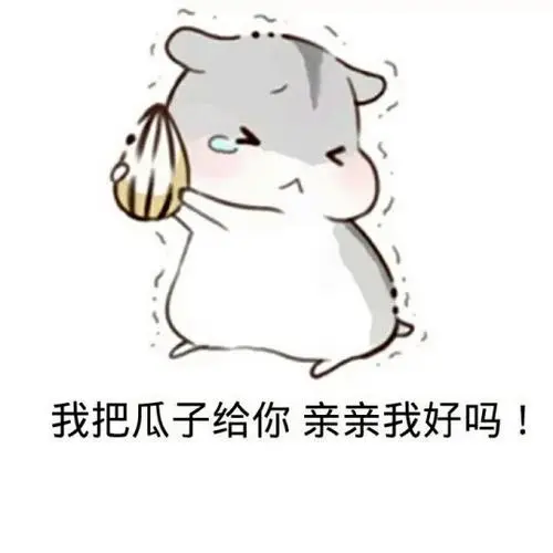仓鼠表情包老婆