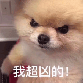 萌宠狗汪星人我超凶的生气gif动图_动态图_表情包下载_soogif