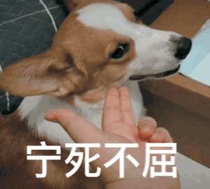 不屈白银图片_不屈白银动态图_不屈白银表情包gif动图下载_soogif