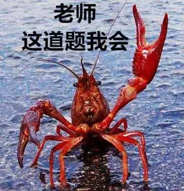 别骂了再骂人都傻了猫咪表情包猫咪别骂表情
