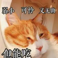 可怜无助但能吃表情包_微信头像图片大全