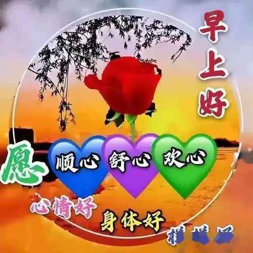 酷暑最新早上好表情大全感恩有你时光不老陪您永永远远